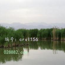 ǧ