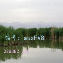 ҵ