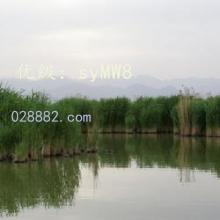 ҵ
