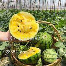 ĩ