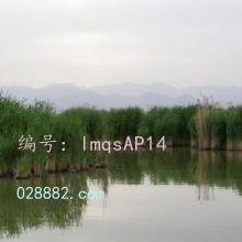 ǻ