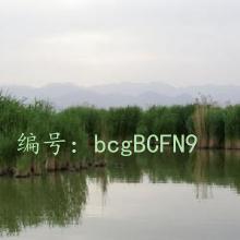 ǻ